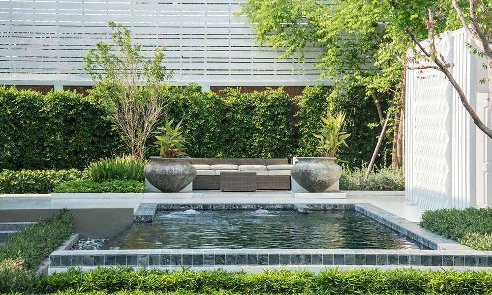 Landscaped pool garden with hedges, planting and paving