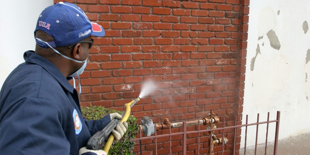 pressure cleaning northern beaches